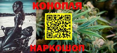 PSILOCYBIN Малоярославец