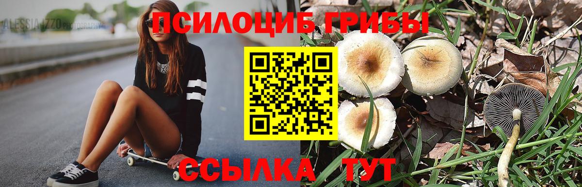 Владимир  Галлюциногенные грибы прущие грибы  Вход с VPN  Галлюциногенные грибы Magic Shrooms 