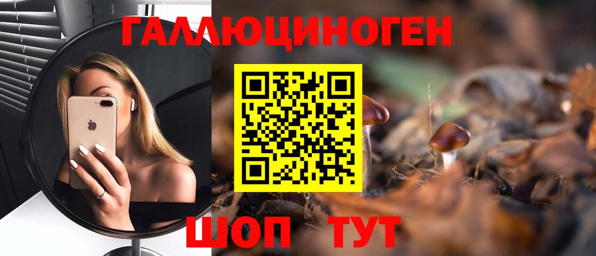 Псилоцибиновые грибы MAGIC MUSHROOMS Владимир